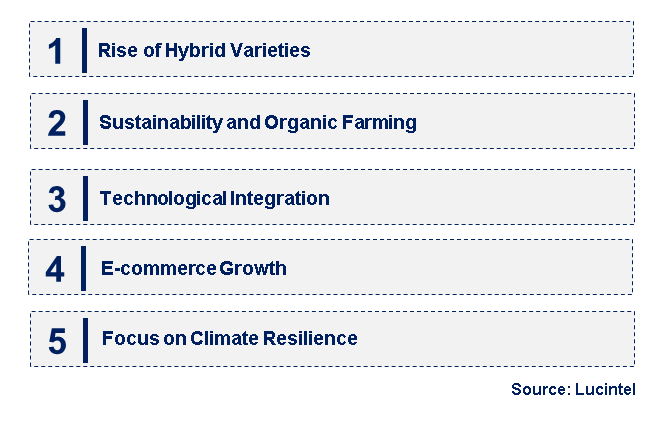 Emerging Trends in the Onion Seeds Market